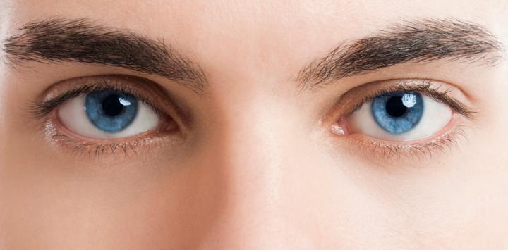 Impresionantes datos que no sabías de