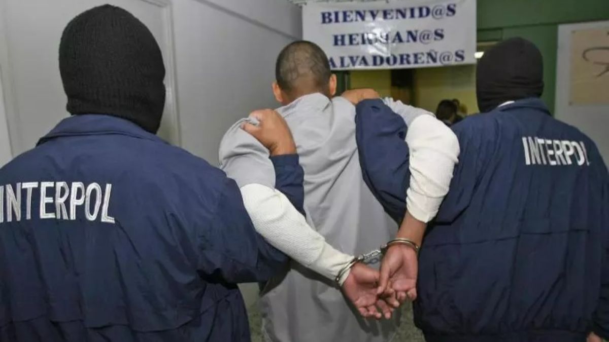 Interpol busca 7 dominicanos por diferentes delitos que cometieron en ...