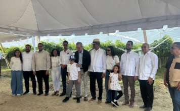 Presidente Luis Abinader visita proyecto de uvas de mesa sin semillas de la UFHEC en San Juan
