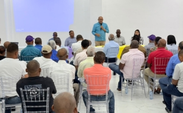 El PLD fortalece su trabajo territorial en la región sur