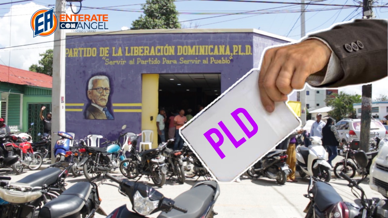 PLD escoge candidatos a regidores en San Juan de la Maguana, aquí todos los detalles